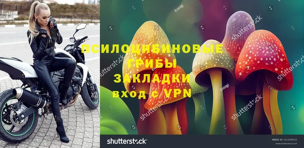 сатива Алексеевка