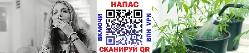 Марихуана Bruce Banner  Кирсанов 